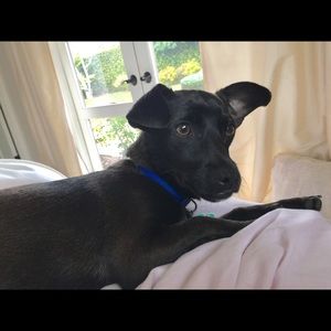 Meet your Posher, Nancy